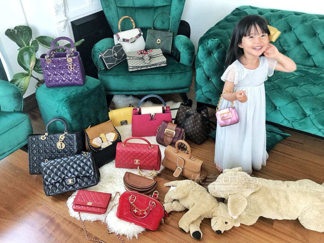 家庭主婦10個(gè)奢侈品包實(shí)用測(cè)評(píng)集合買(mǎi)包圣經(jīng)！吐血分享！ 真理其他