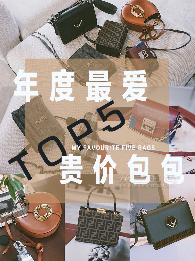 年度最愛最愛5只貴價包包 奢侈品包 大牌包 Loewe 羅意威-JOYCE小號