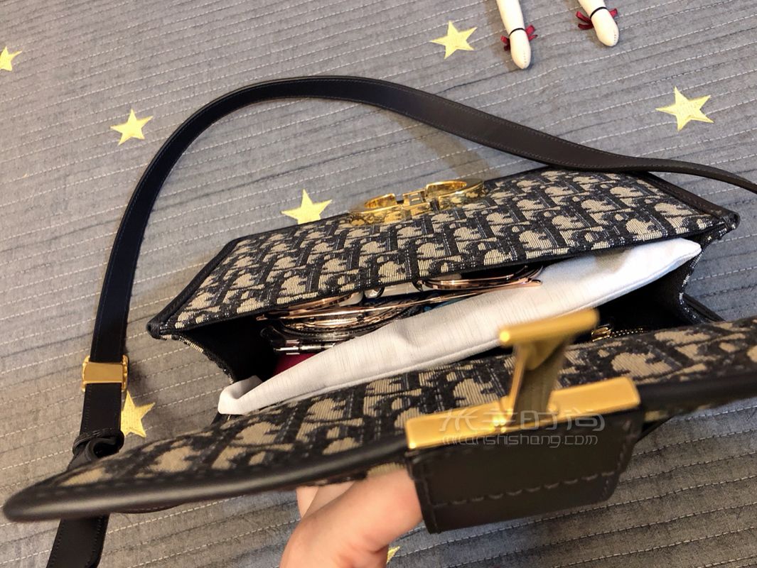 LV包達芙妮爆款包容量測試LV Dauphine和Dior蒙田包？ (7)