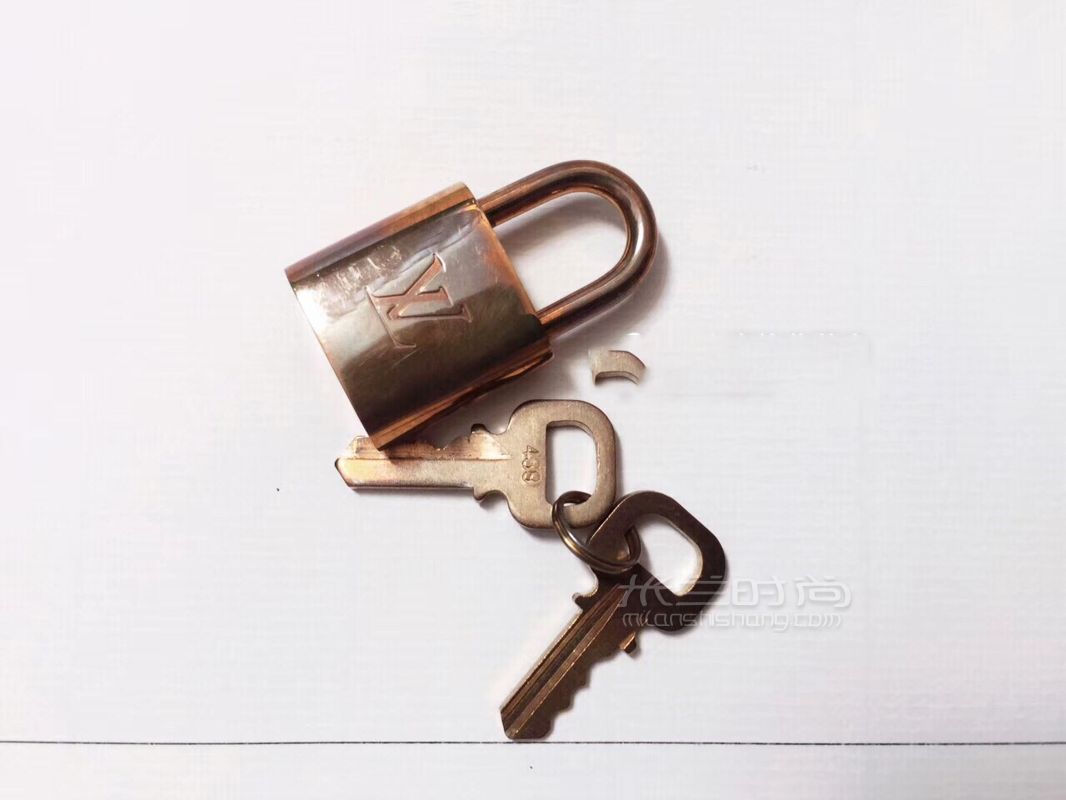 【原創(chuàng)】說說“背著奢侈品包擠地鐵的女孩”如何保養(yǎng)包 雖說坐地鐵時包要過 (3)