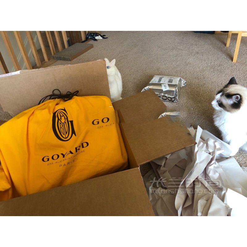 Goyard 高雅德 artois 拉鏈款黃色購(gòu)物袋大號(hào) 狗牙的這款包我覺得真的是Tote (4)