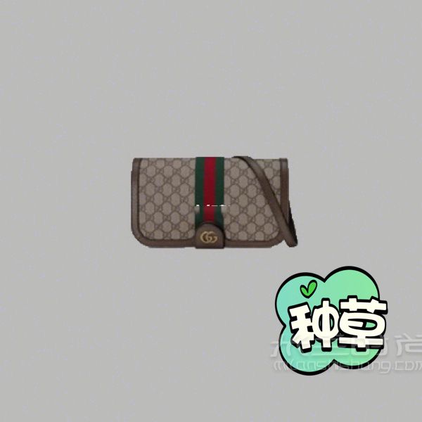 GUCCI款式推薦 這九款包包必買哦（一） (9)