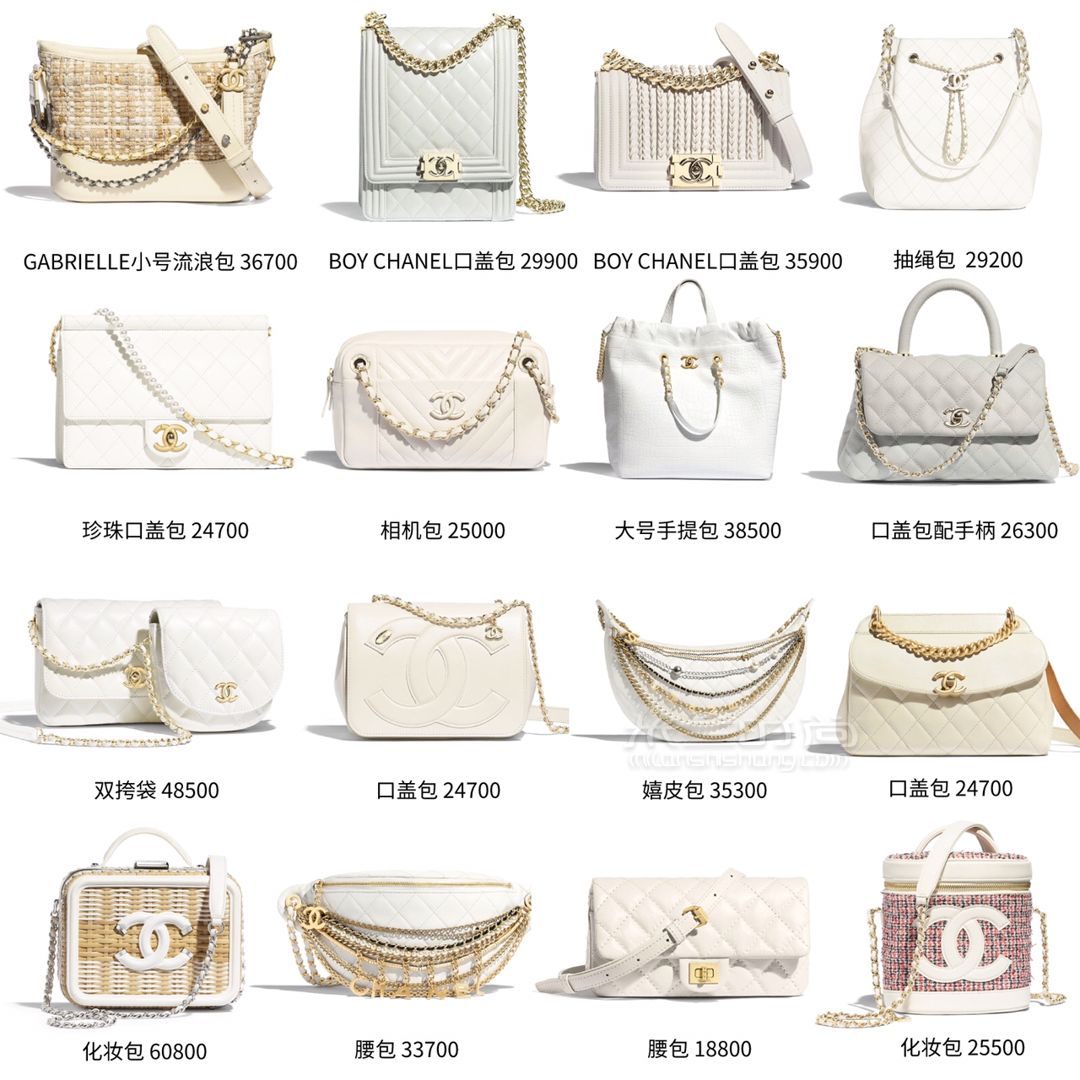 2019Chanel新款包包太驚艷了 (4)