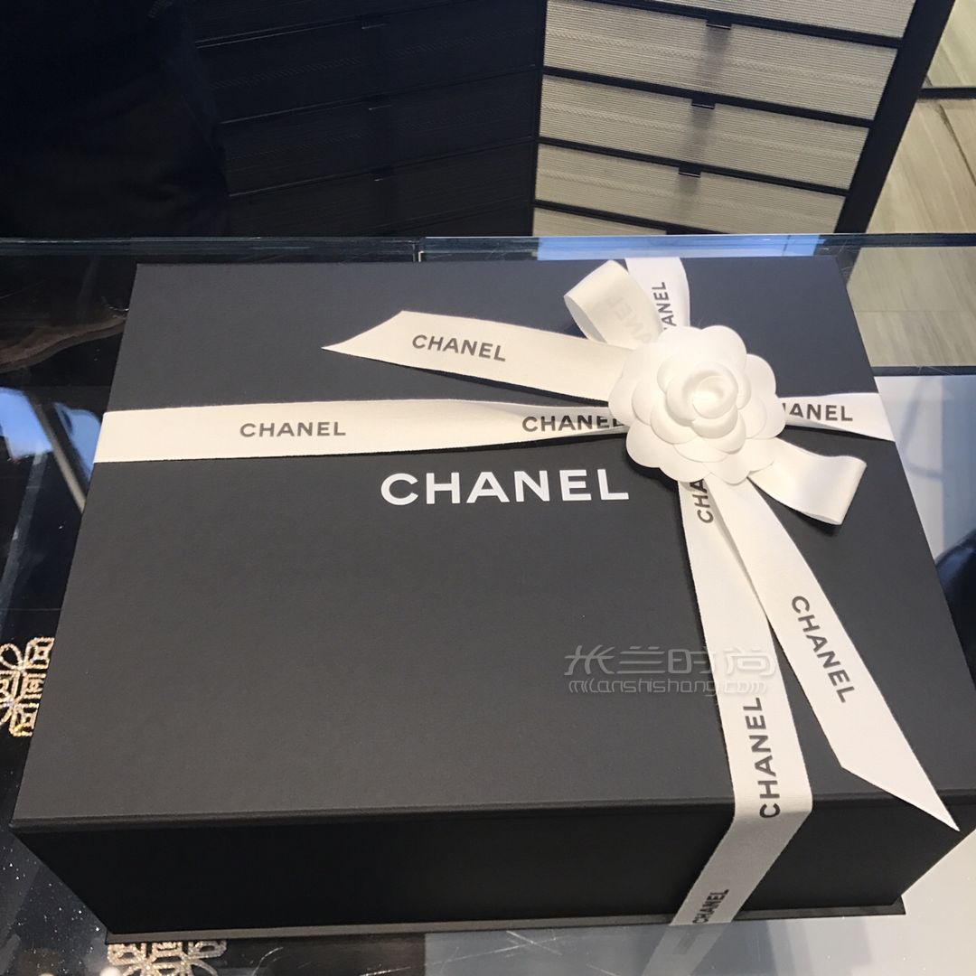 Chanel香奈兒 早秋新款Flapbag風琴包 (3)