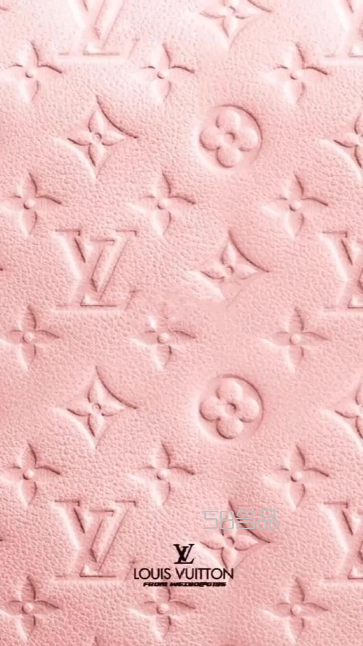 LV薯條包,lv pvc老花_1