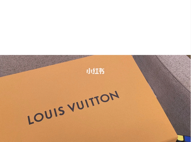 LV薯?xiàng)l包,為什么lv灰格花紋便宜_5