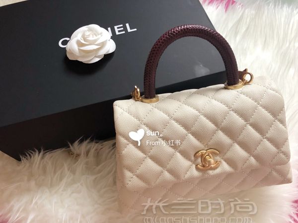 香奈兒 Chanel coco handle 乳白色 蜥蜴手柄 金扣 小號(hào)_2