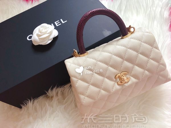 香奈兒 Chanel coco handle 乳白色 蜥蜴手柄 金扣 小號(hào)_1