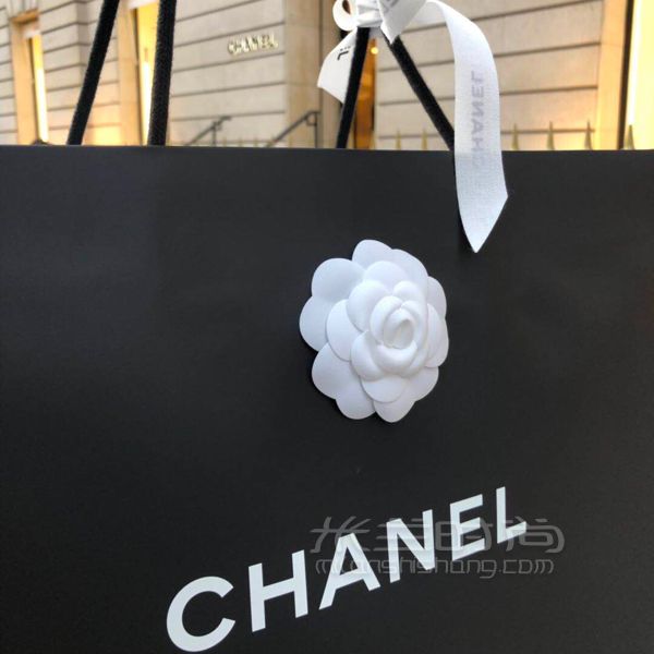 深夜剛喜提全亞洲第一只Chanel2019灰色大號口蓋包。原來看中Coco handle_8