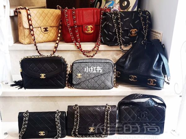 深圳  一家貓咪當?shù)觊L的中古店（超多Chanel_1
