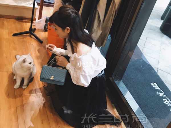 深圳  一家貓咪當?shù)觊L的中古店（超多Chanel_9
