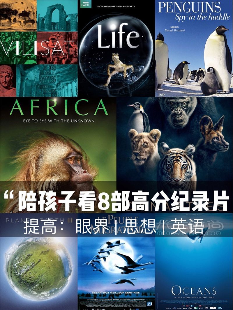關掉動畫最值得和孩子一起看的紀錄片_1