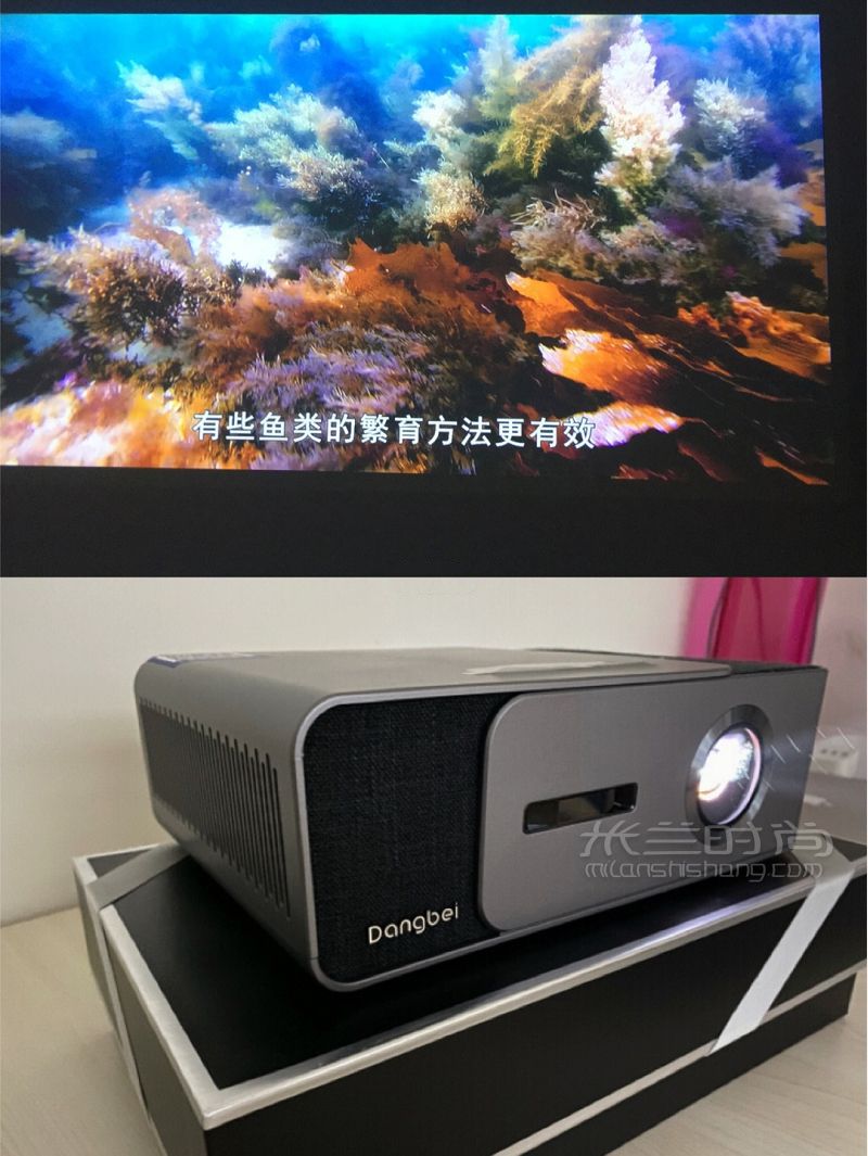 關掉動畫最值得和孩子一起看的紀錄片_2