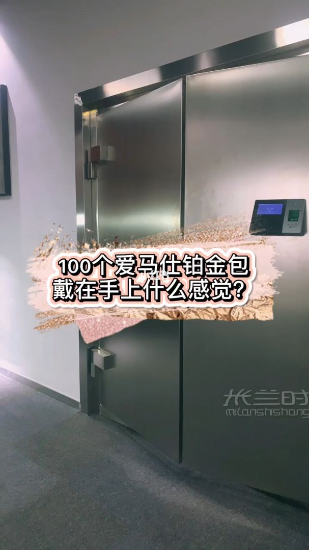 100個(gè)愛馬仕鉑金包戴在手上什么感覺？_1