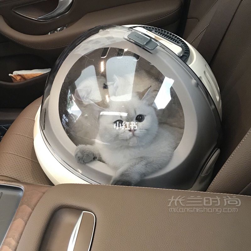 【貓奴的外出】寵物包貓奴_1