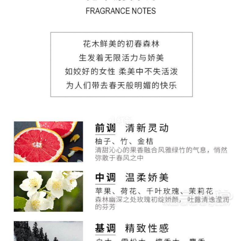 杜魯薩迪香水 雪松TRUSSARDI玫瑰花 茉莉花_3
