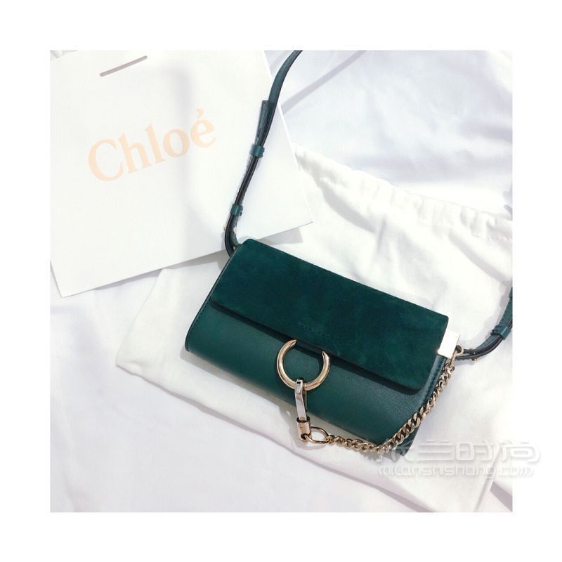 兩款輕奢小包包Gucci Chloe怎么選？蔻依怎么樣_4