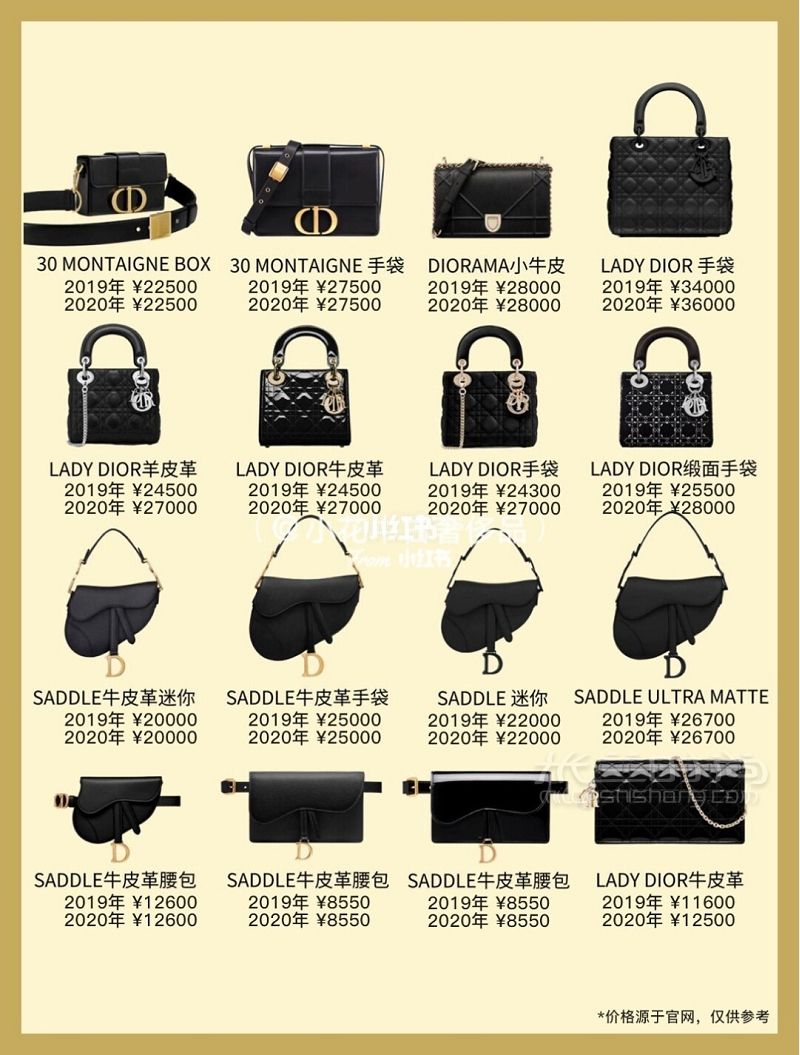 Dior 迪奧各大系列包包合集-手袋-腰包-鏈條包-迪奧 di_3