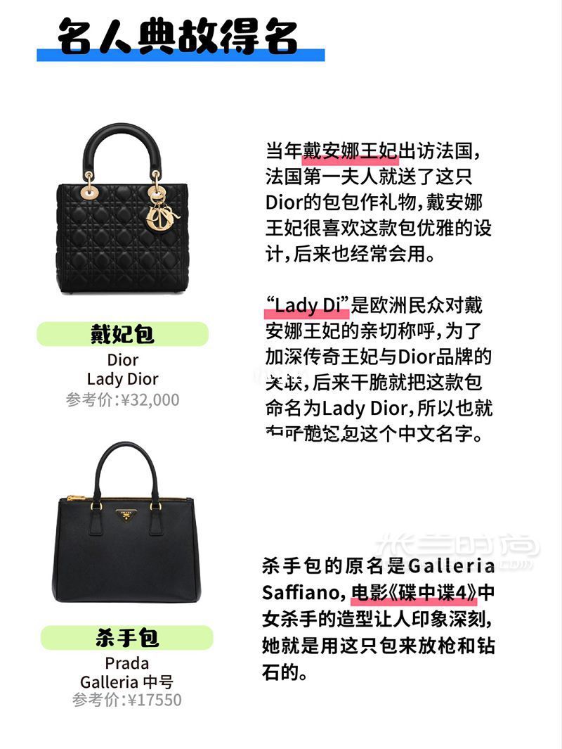 時尚基礎(chǔ)必修奢侈品包包俗稱大全 搞懂時尚“黑話”_8