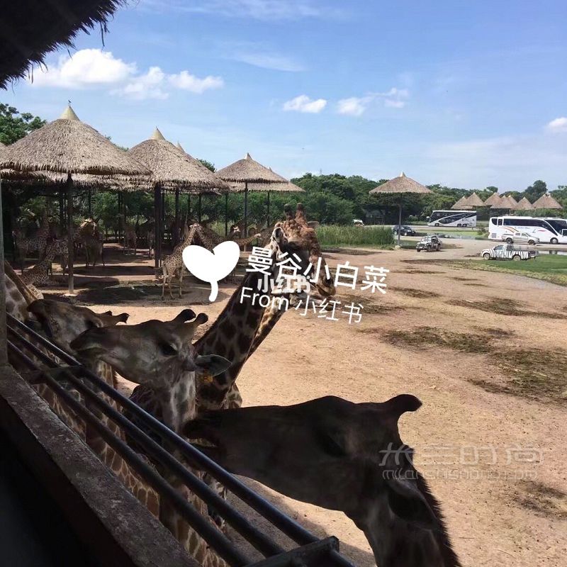 泰國(guó)旅游必備 泰國(guó)買什么 泰語(yǔ)必備單詞_9