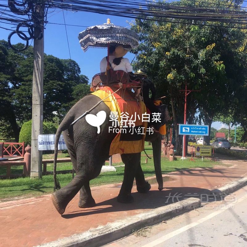 泰國(guó)旅游必備 泰國(guó)買什么 泰語(yǔ)必備單詞_7