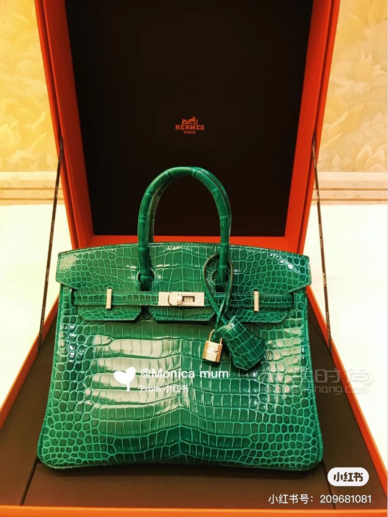 Hermes愛(ài)馬仕包包合集 birkin constance_7