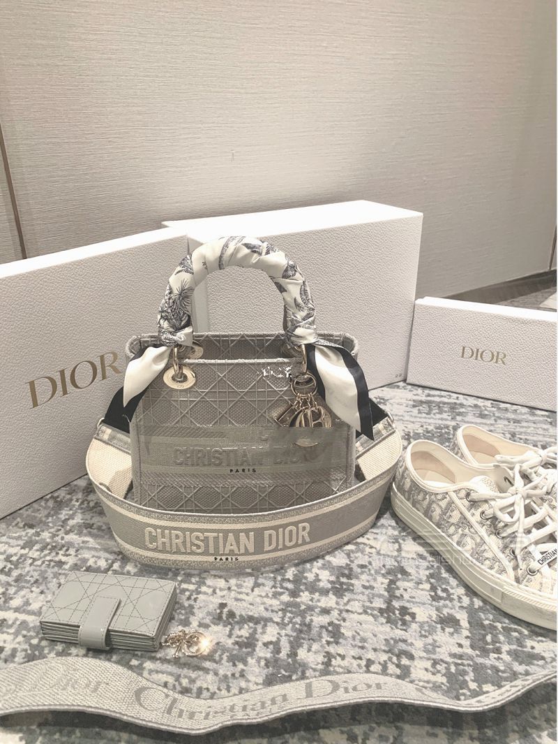Dior2020灰色帆布戴妃包怎么樣？掉入大象灰陷阱_1