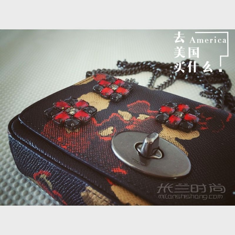 COACH花卉系列真皮MINI斜挎鏈包 迷你花卉_1