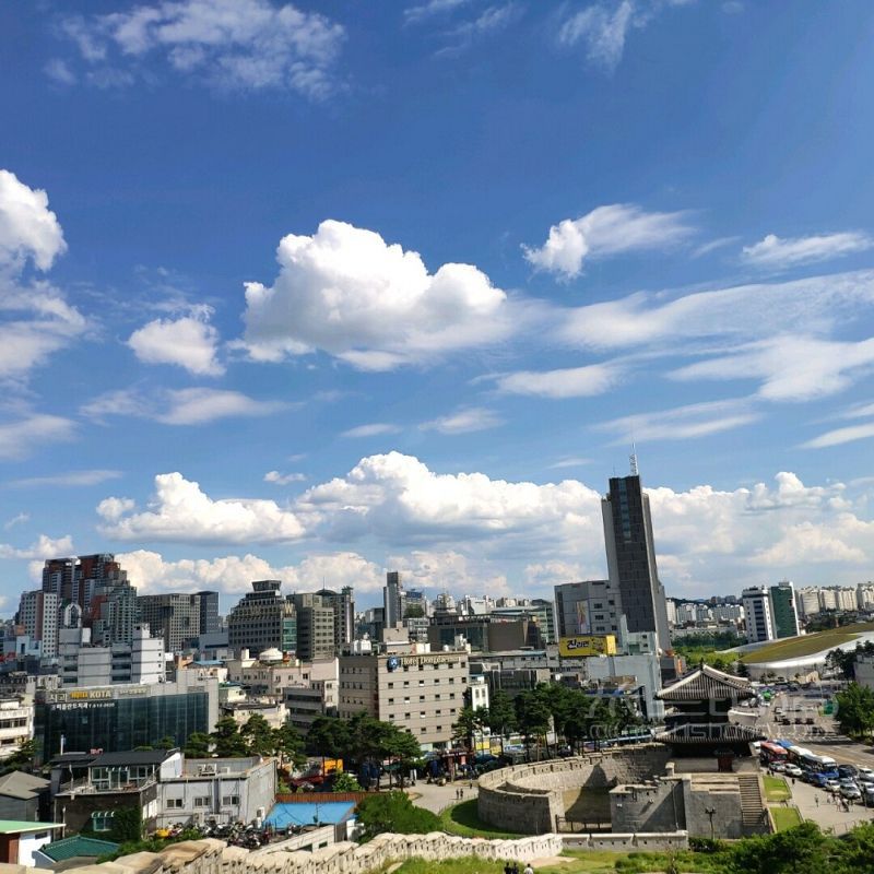 韓國旅行不報團(tuán)攻略 自由行比想象的簡單_5