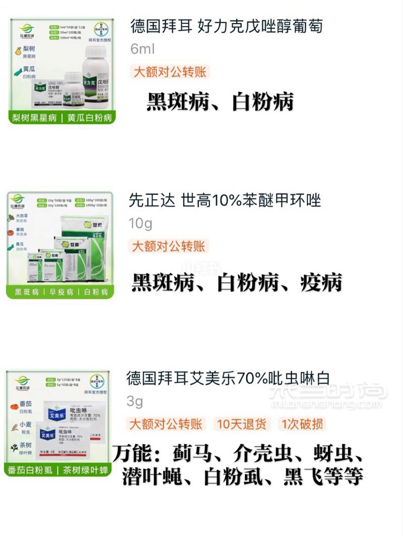 只要常備5種藥 你家的月季穩(wěn)了_8