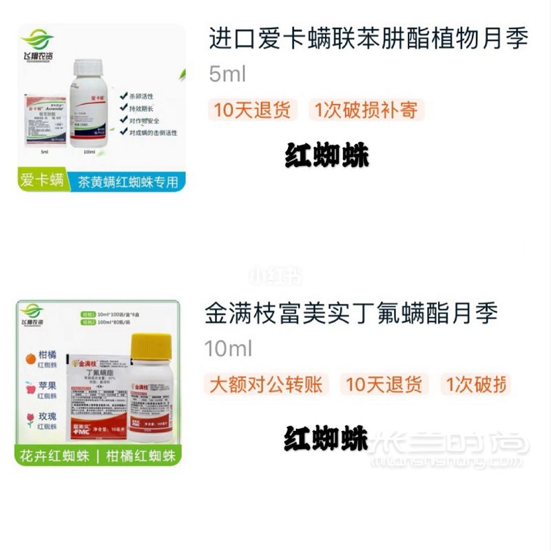 只要常備5種藥 你家的月季穩(wěn)了_9