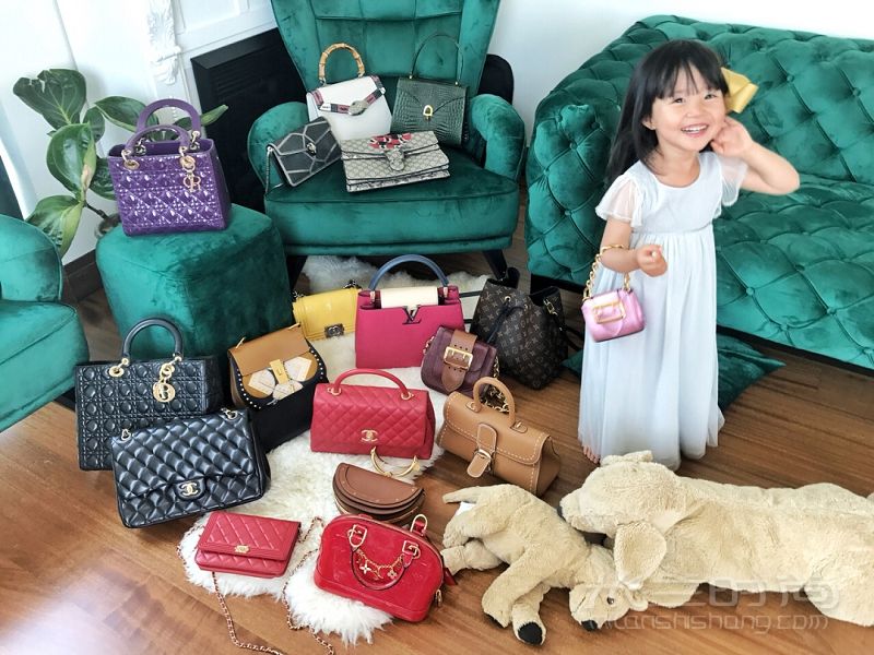 家庭主婦10個奢侈品包實用測評集合買包圣經(jīng)！_1