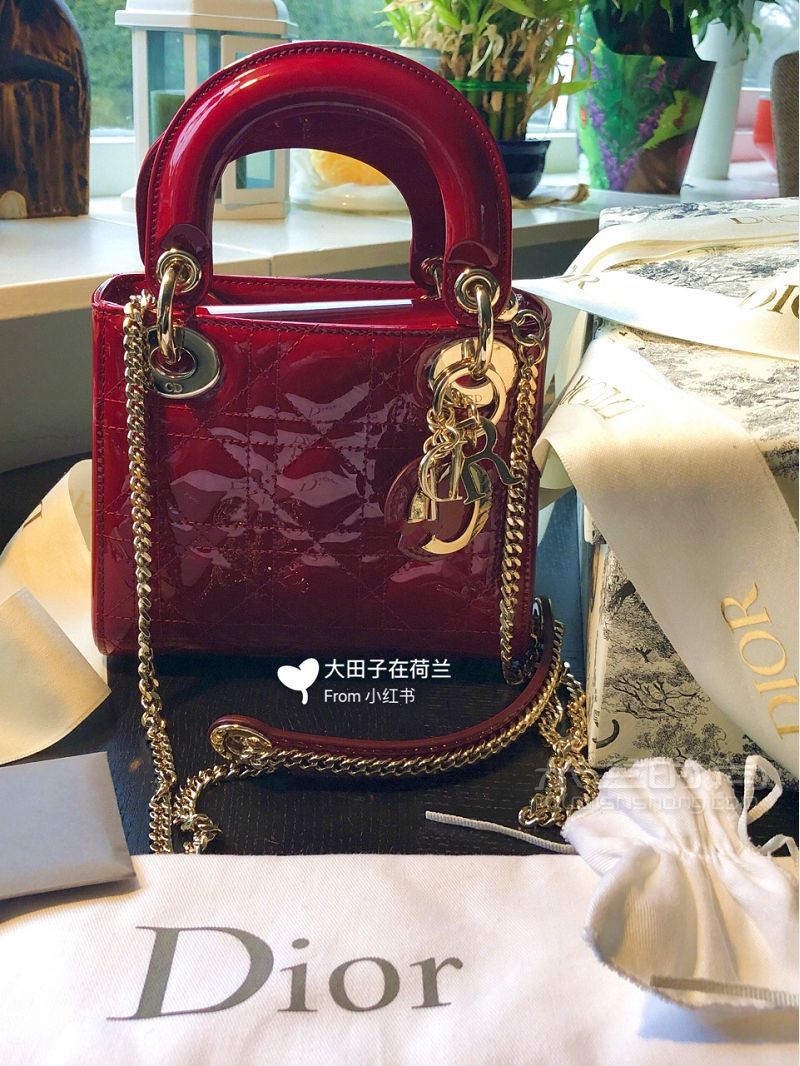 有了它再也不想買其他包 迷你lady dior香檳_6