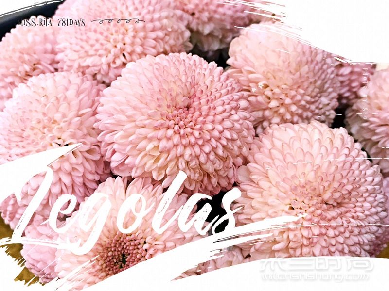 LV 路易威登 芭蕾粉 CLUNY BB 手袋及包飾_6