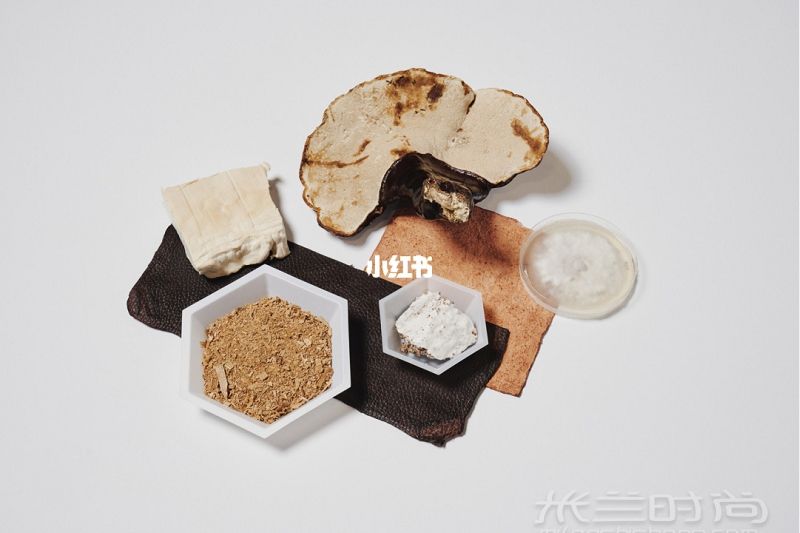 生物設(shè)計 2021時尚品牌將采用蘑菇皮革_3