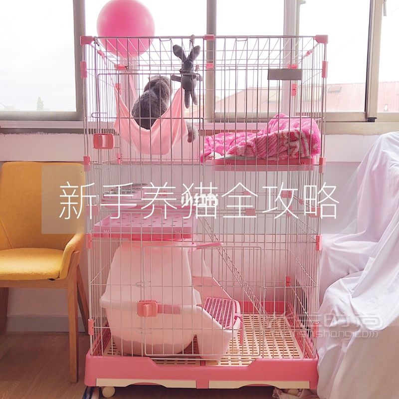 【新手養(yǎng)貓全攻略】必需品list貓砂-驅(qū)蟲貓罐頭_1