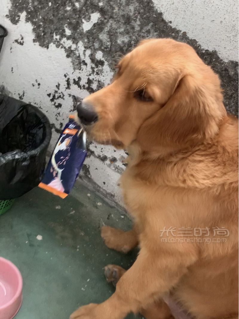 昨天才到的買(mǎi)阿瑪尼口紅送的包還有其他的！_2