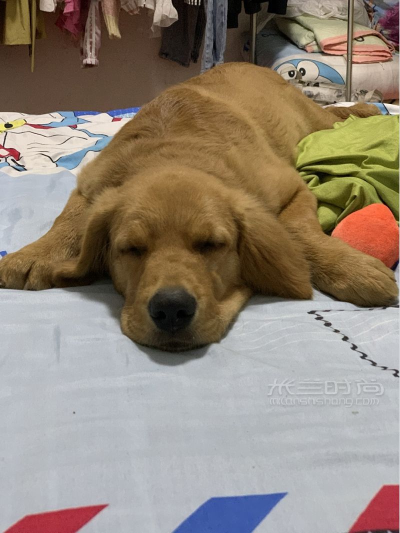 昨天才到的買(mǎi)阿瑪尼口紅送的包還有其他的！_7