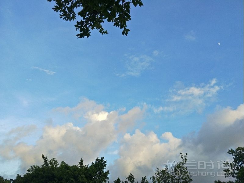 英語(yǔ) 法語(yǔ)名 蘇格蘭植樹節(jié)去哪玩_7