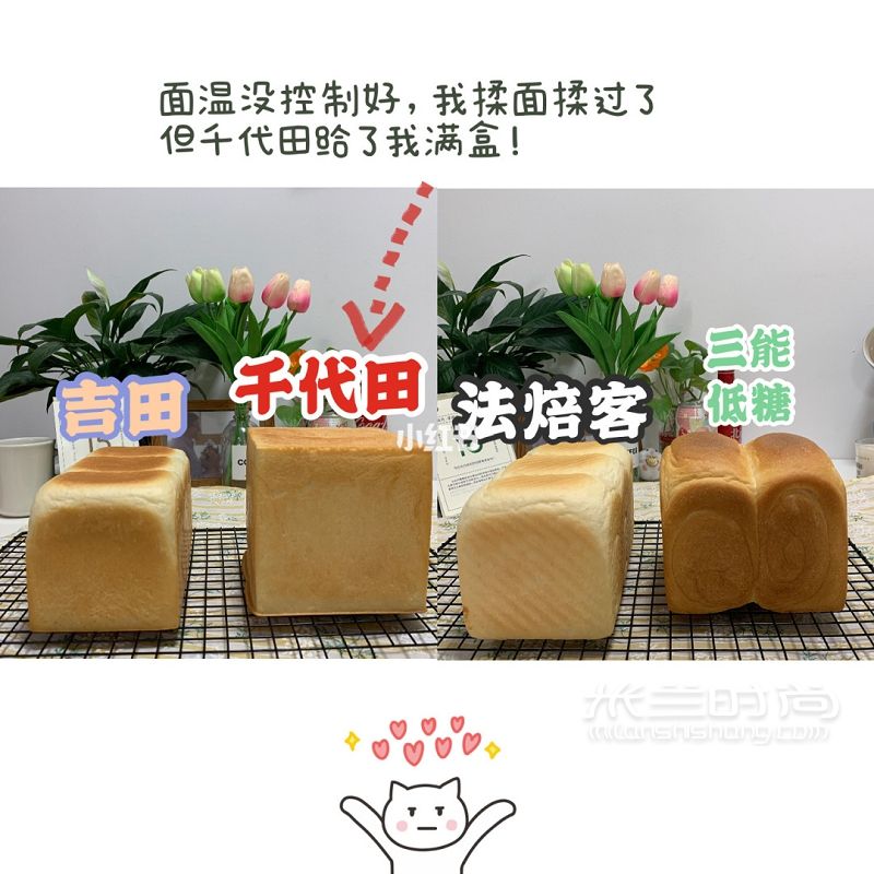 418元的吐司模具和48元的差別在哪？_6